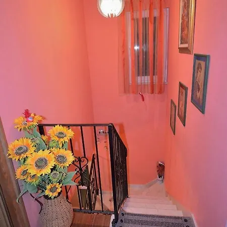 Hébergement de vacances House Tihanka *